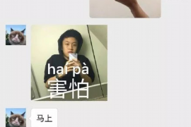 洪洞贷款清欠服务